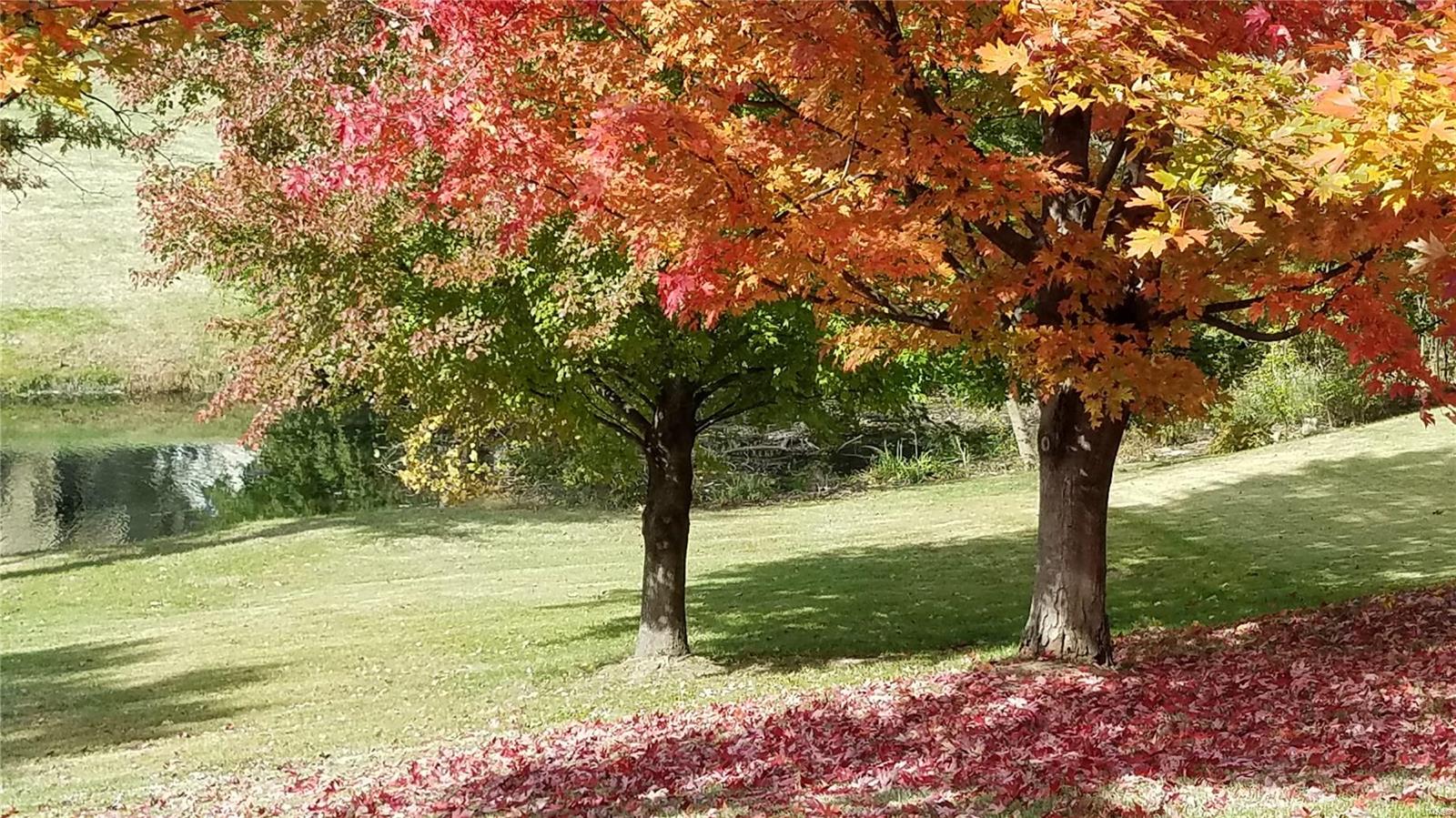 3130 Autumn Trace Drive