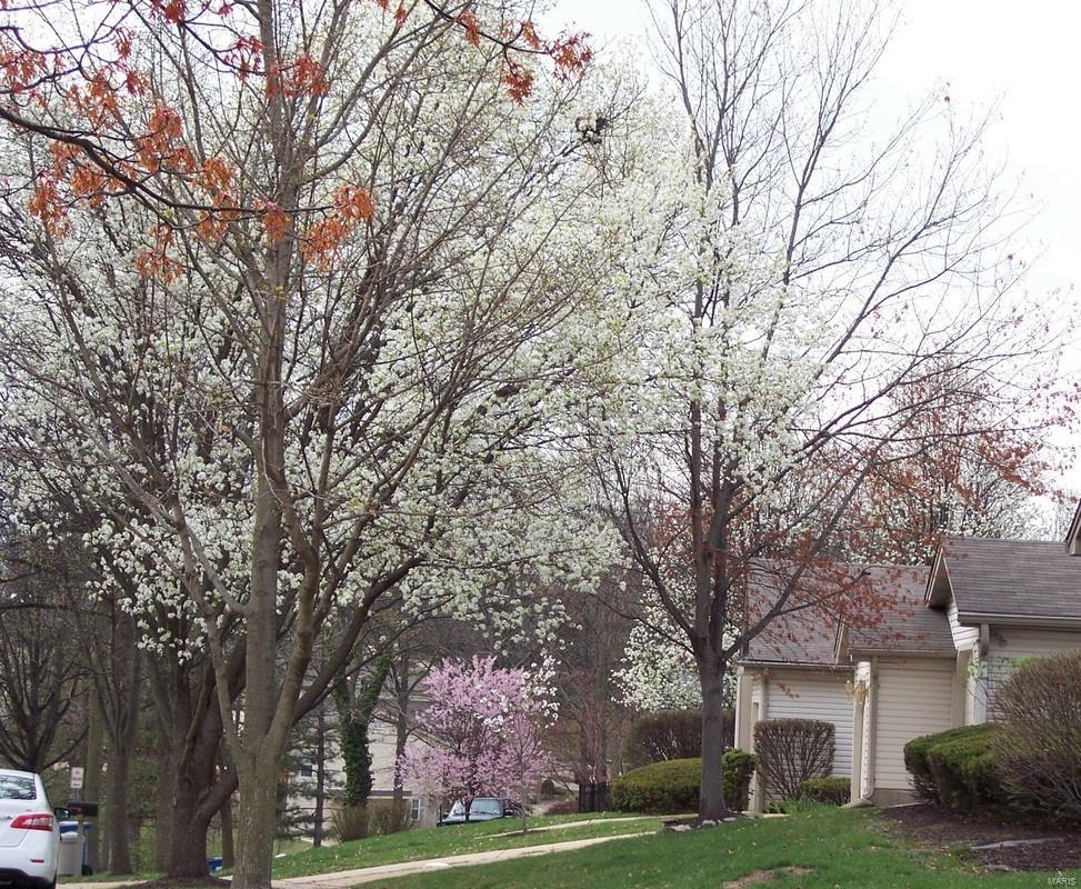 3130 Autumn Trace Drive