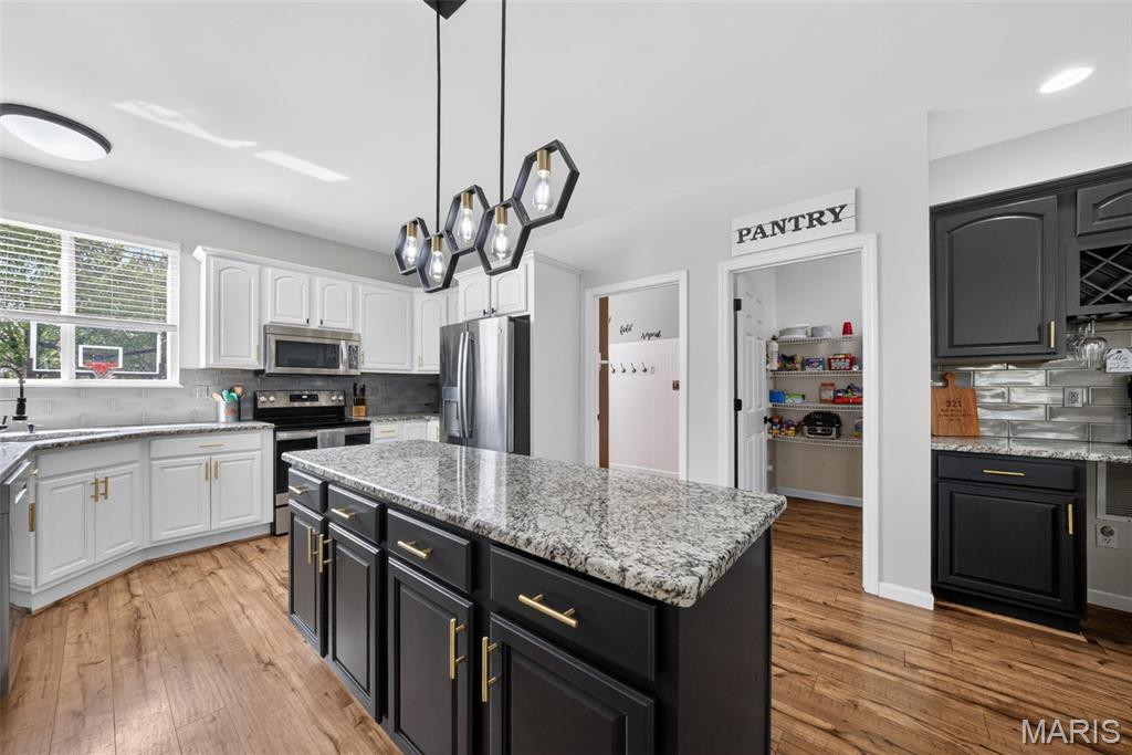 321 Red Wing Court