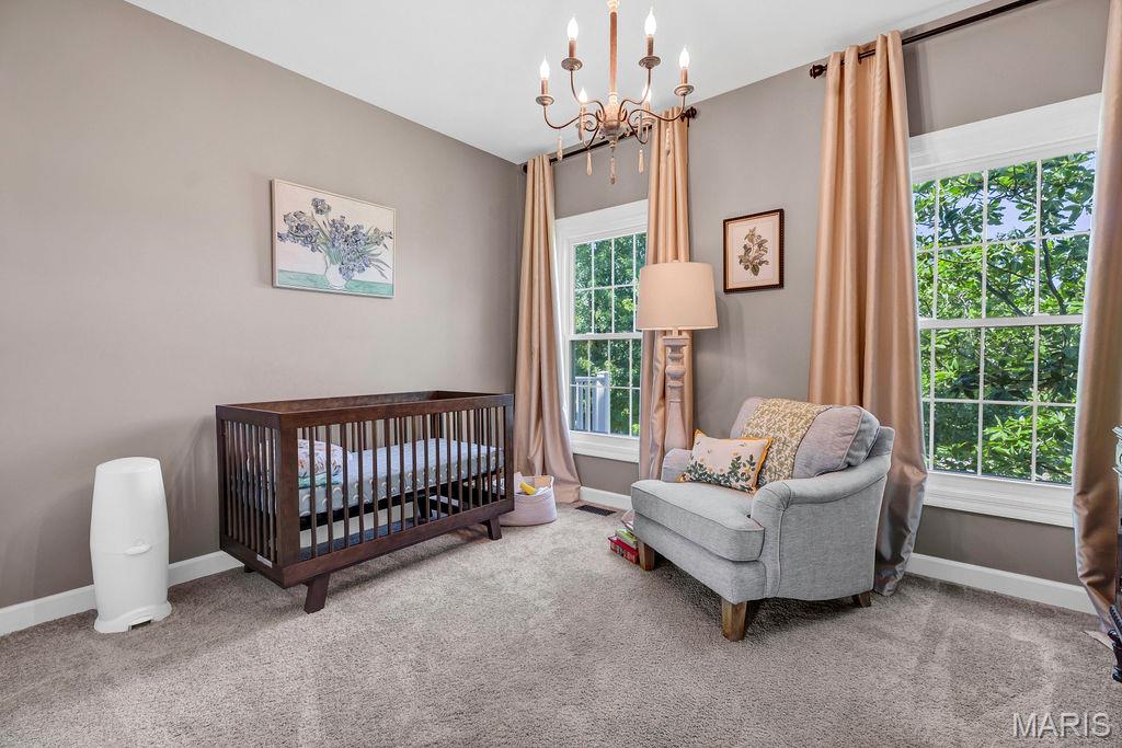 414 Bluff Meadow Court