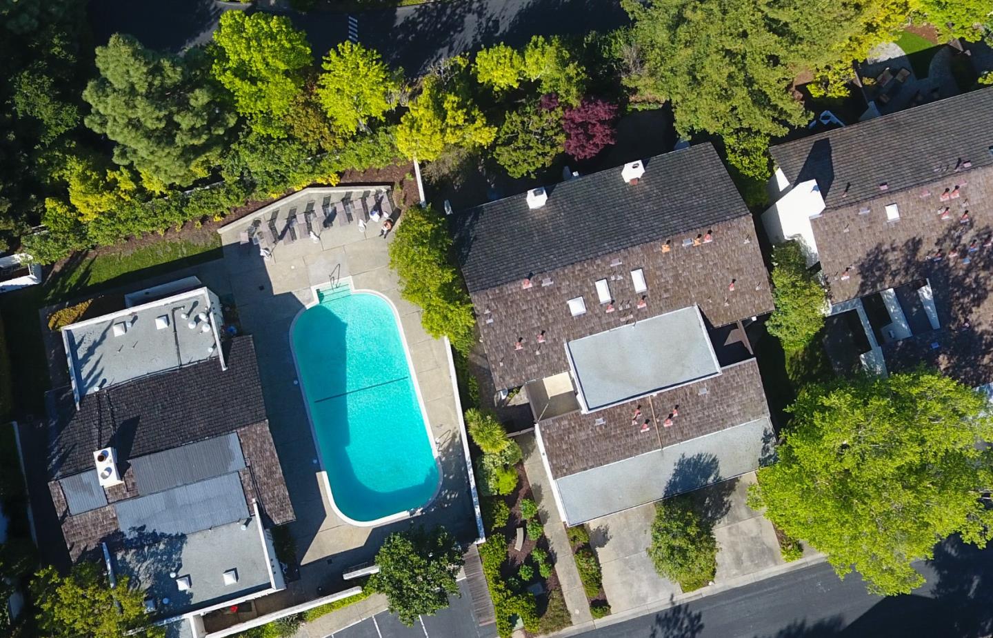 2439 Sharon Oaks Drive