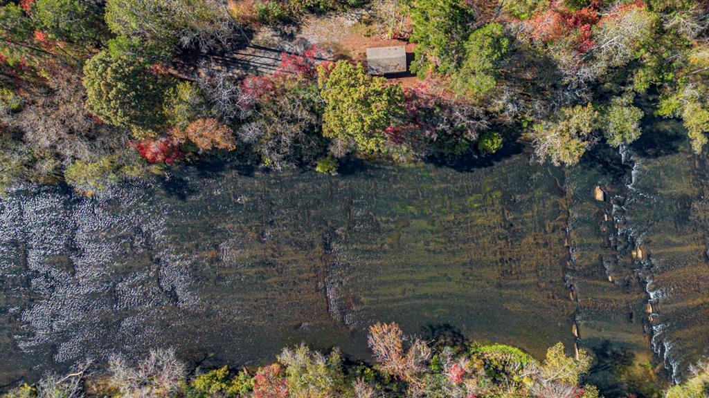 61 River Retreat Road