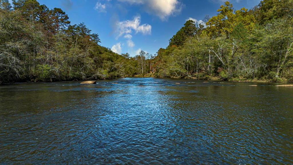 61 River Retreat Road