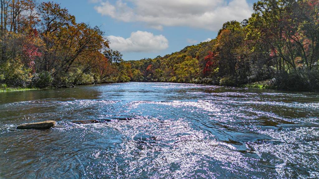 61 River Retreat Road