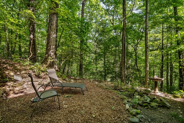 772 Double Knob Road