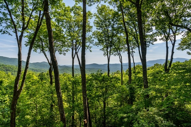 772 Double Knob Road