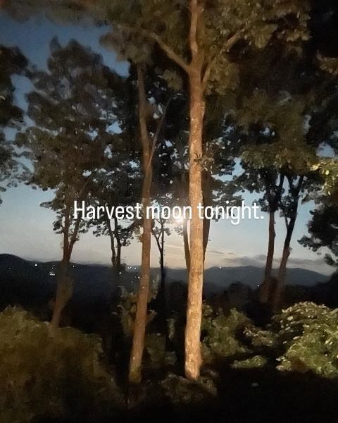 772 Double Knob Road