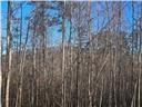 256 Canyon Point Drive