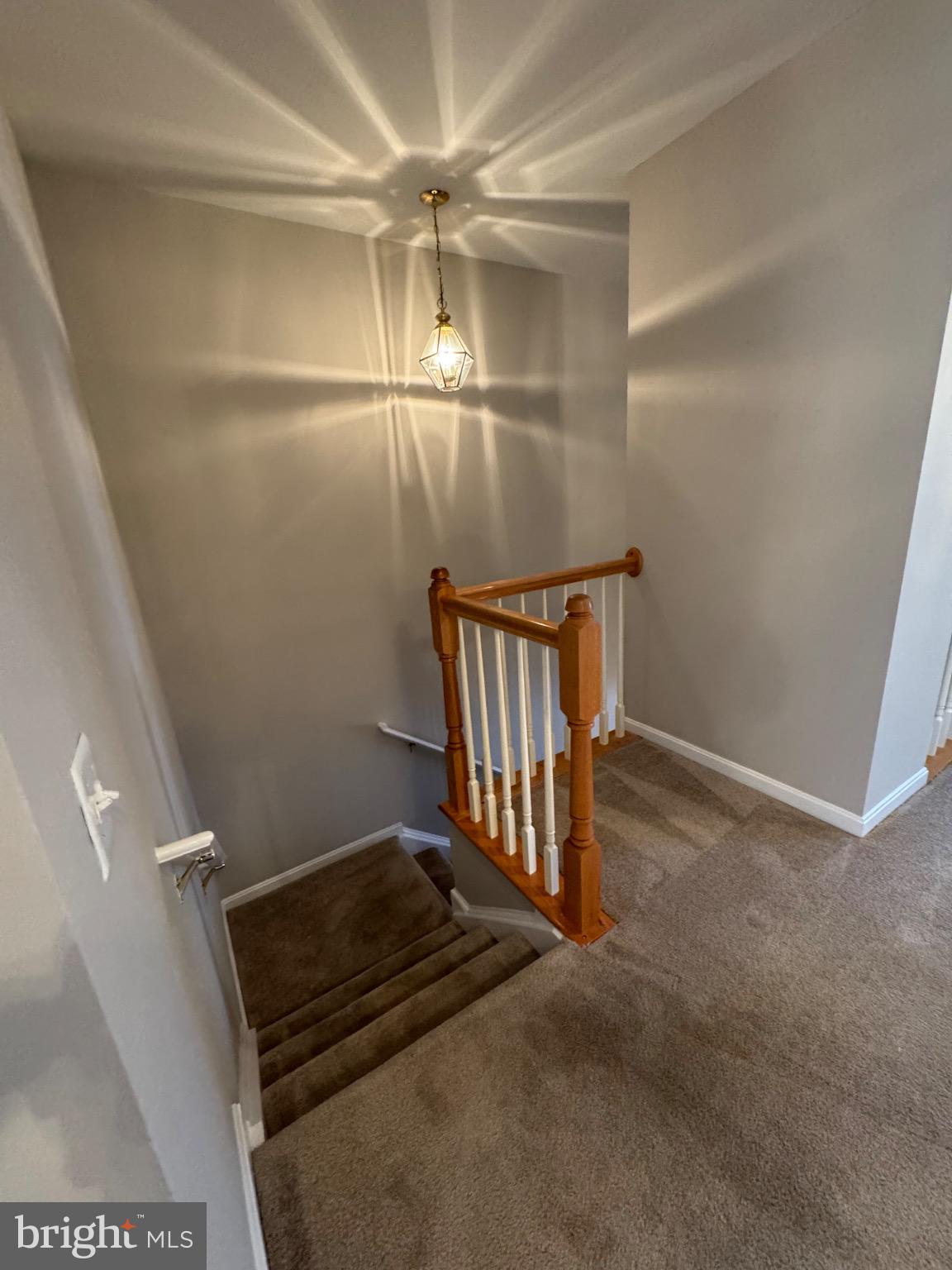 45776 MOUNTAIN PINE SQUARE 45776