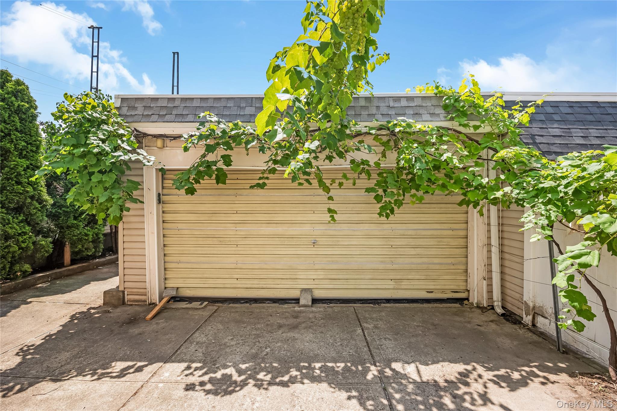 78-12 64th Street