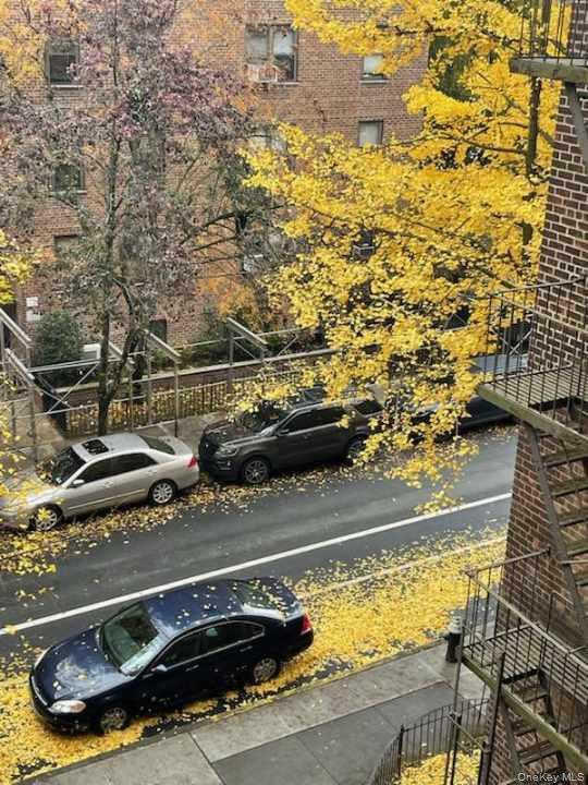 32-42 91st Street Unit: 401