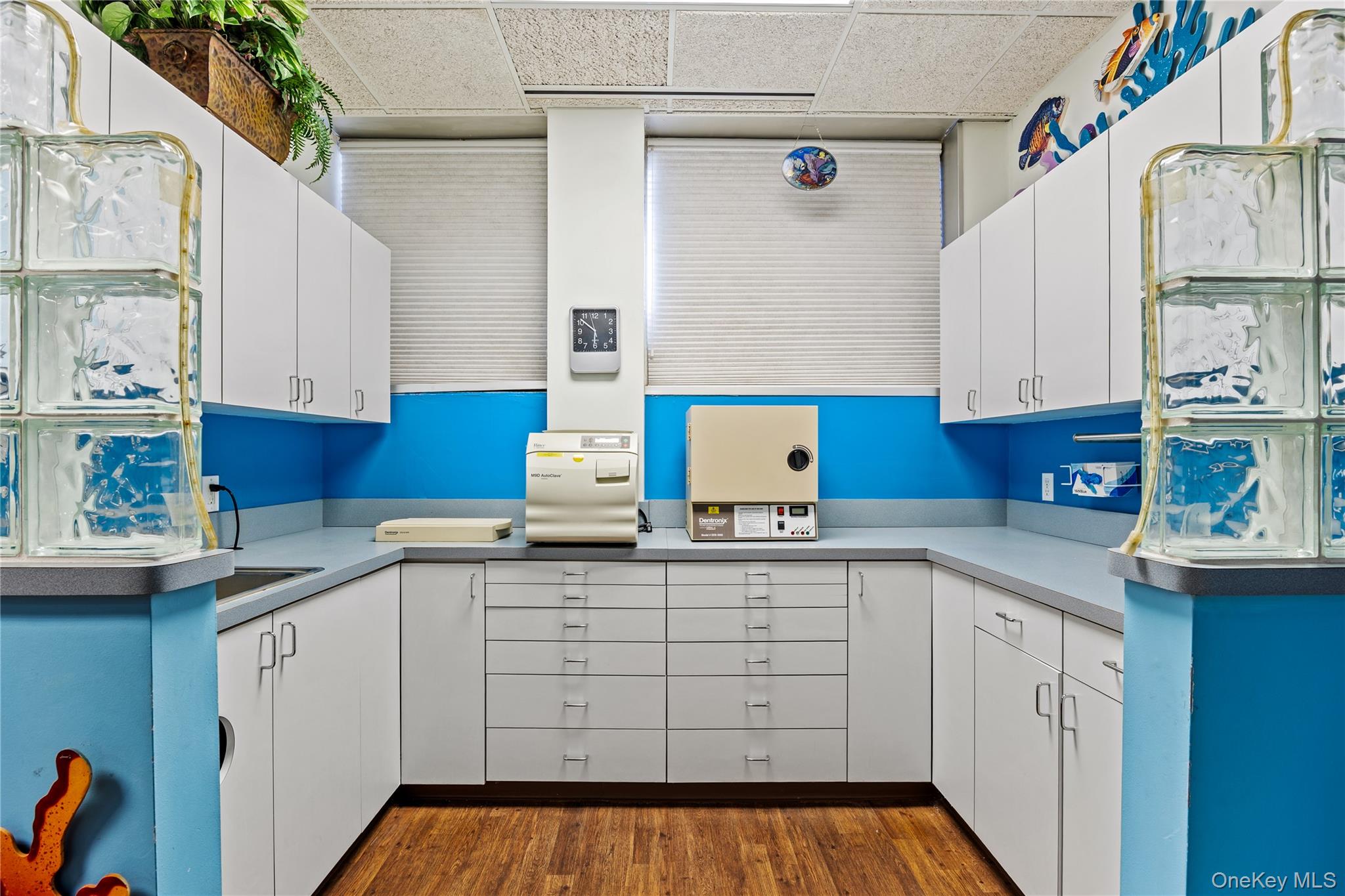 1171 Old Country Road Unit: 104