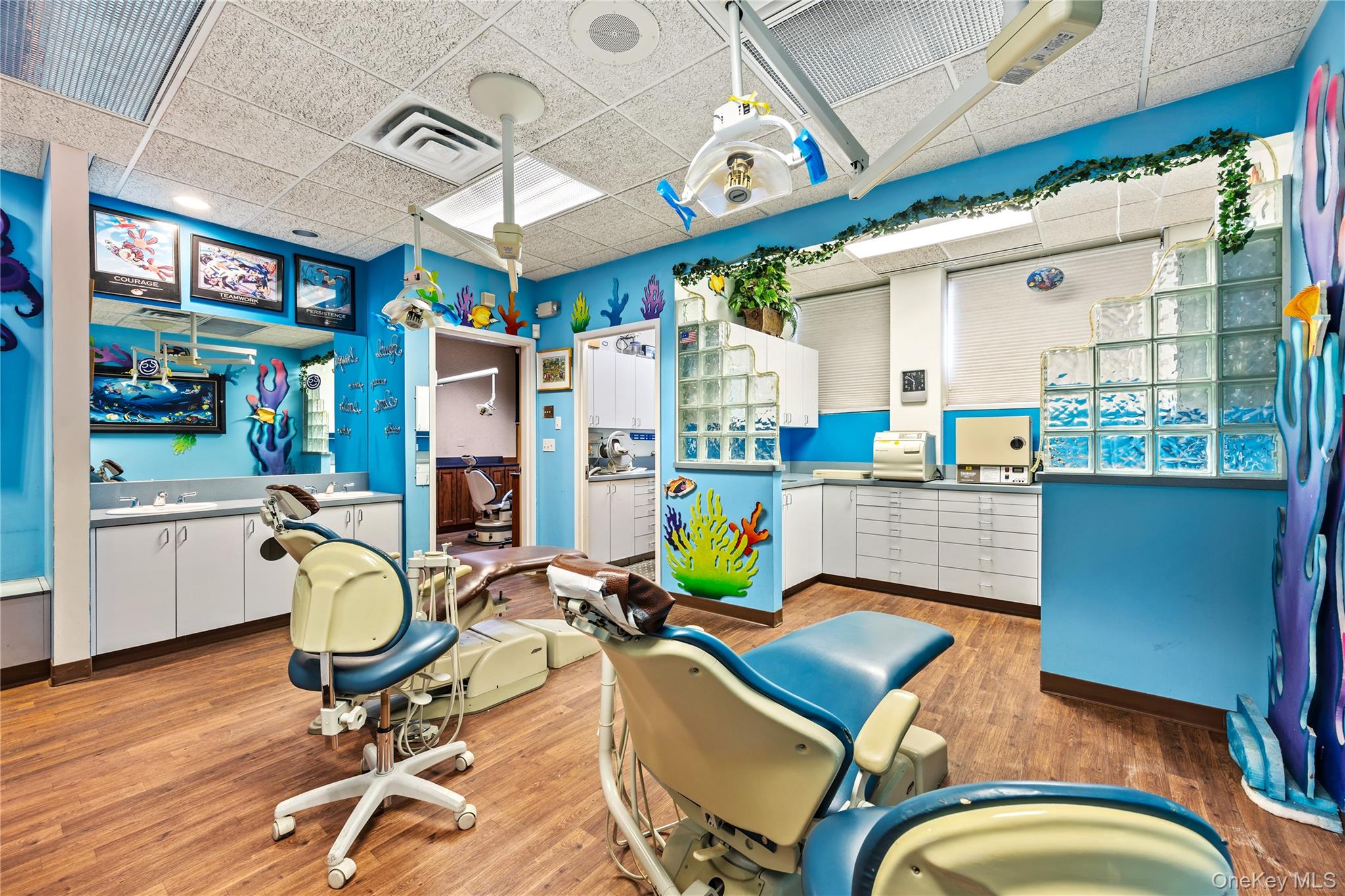 1171 Old Country Road Unit: 104