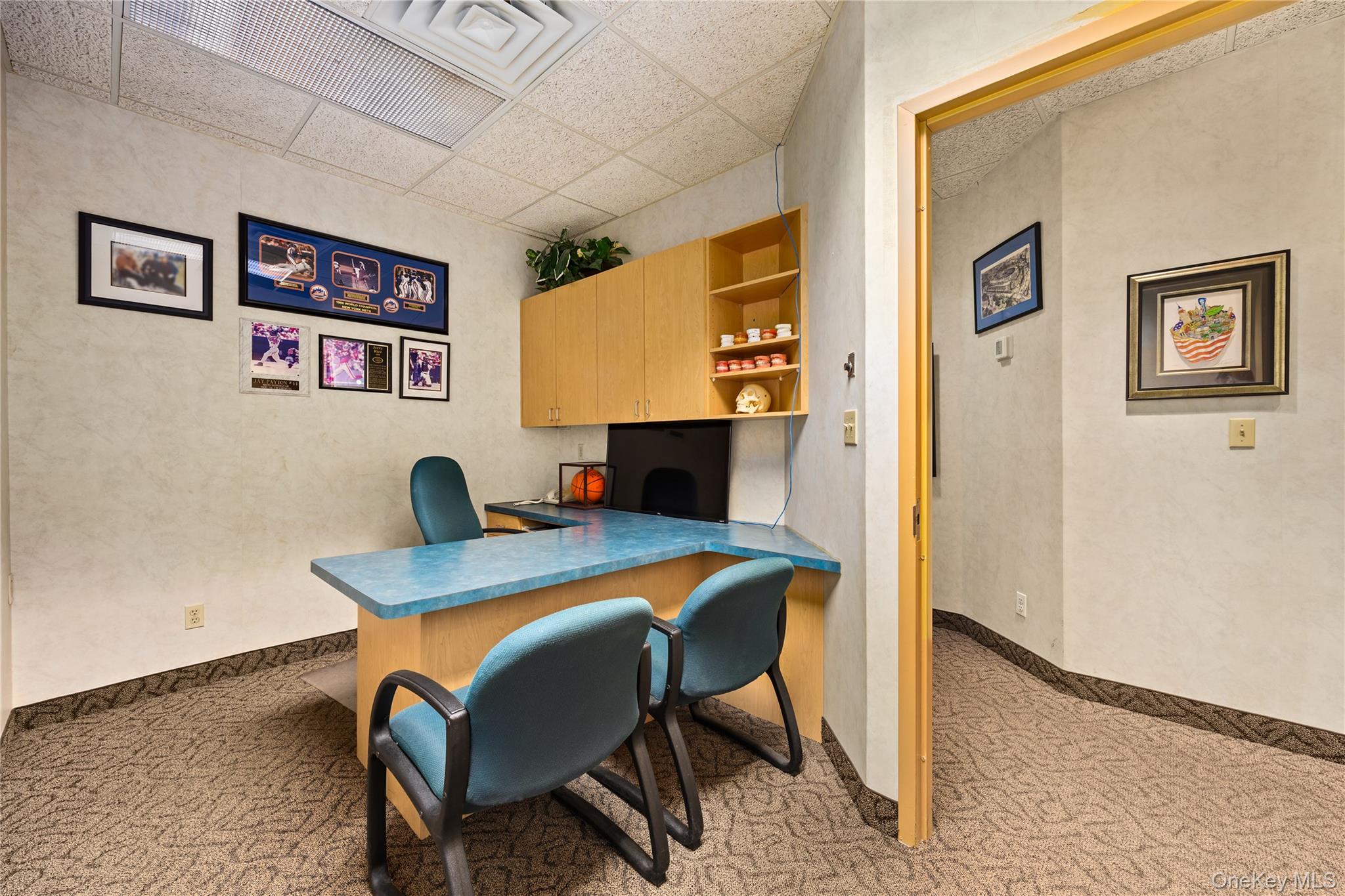 1171 Old Country Road Unit: 104