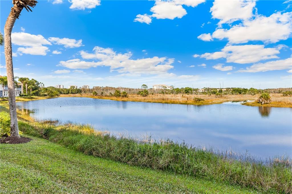 25000 Cypress Hollow CT # 101