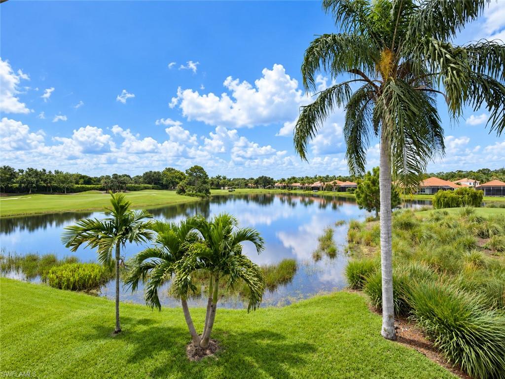 Pond and golf course view framed by palm trees and grassy banks.