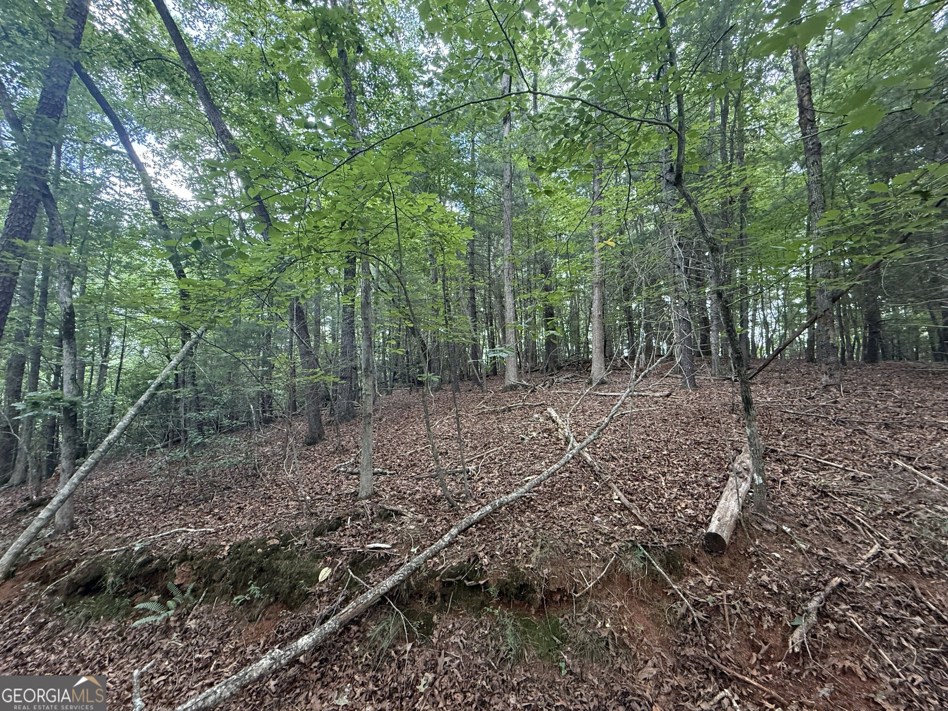 0 Yahoola Indian Trail
