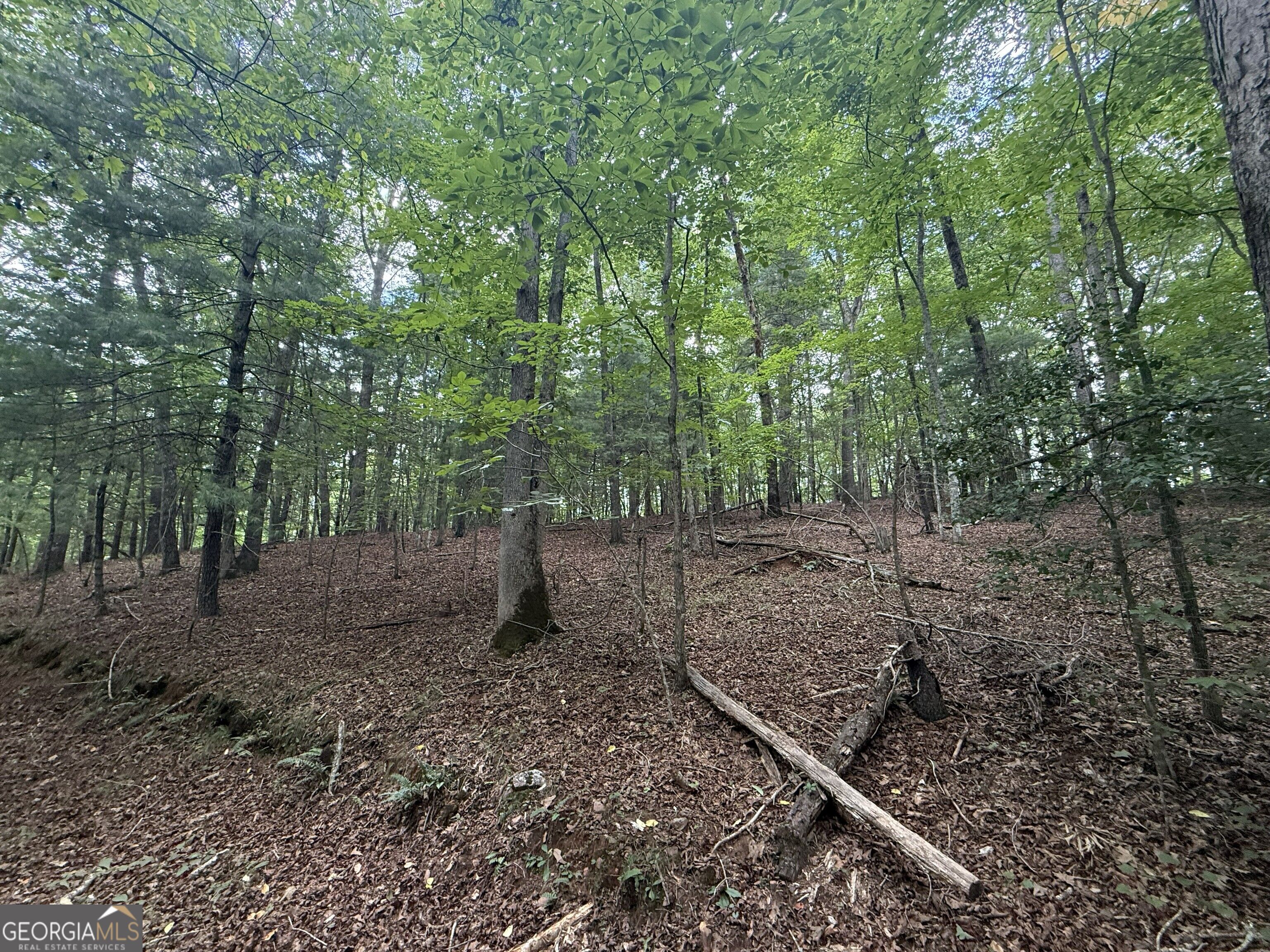 0 Yahoola Indian Trail