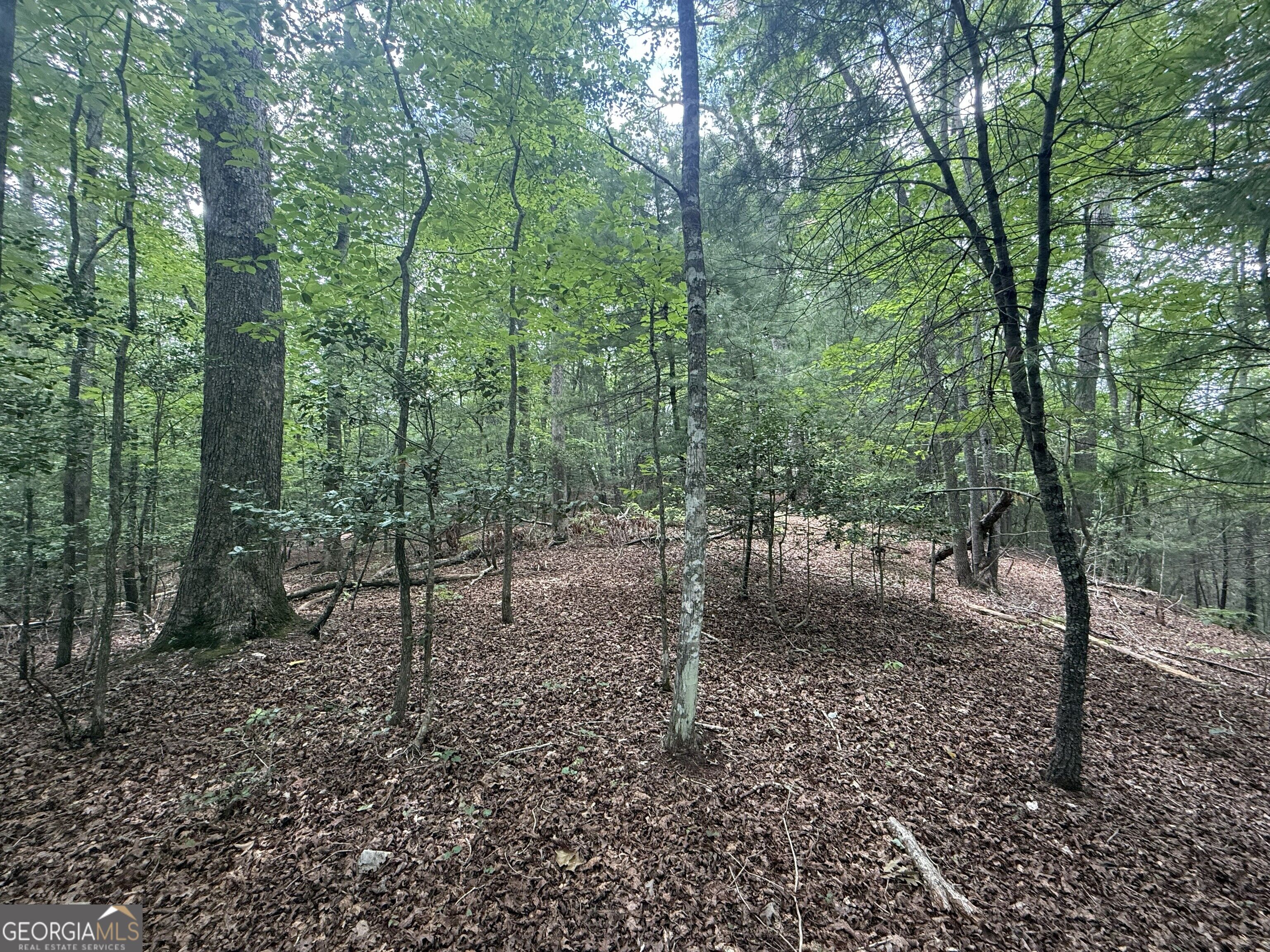 0 Yahoola Indian Trail