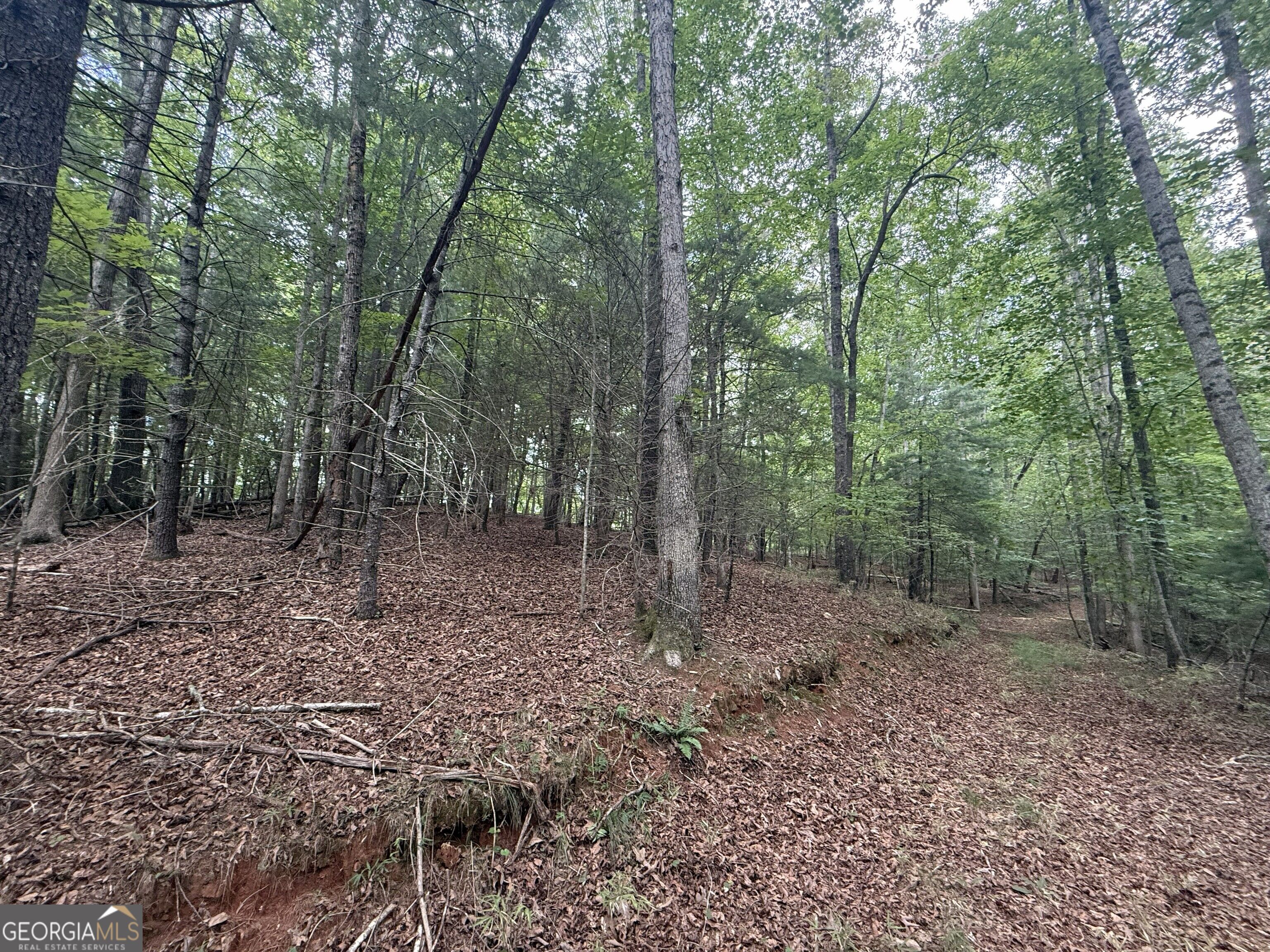 0 Yahoola Indian Trail