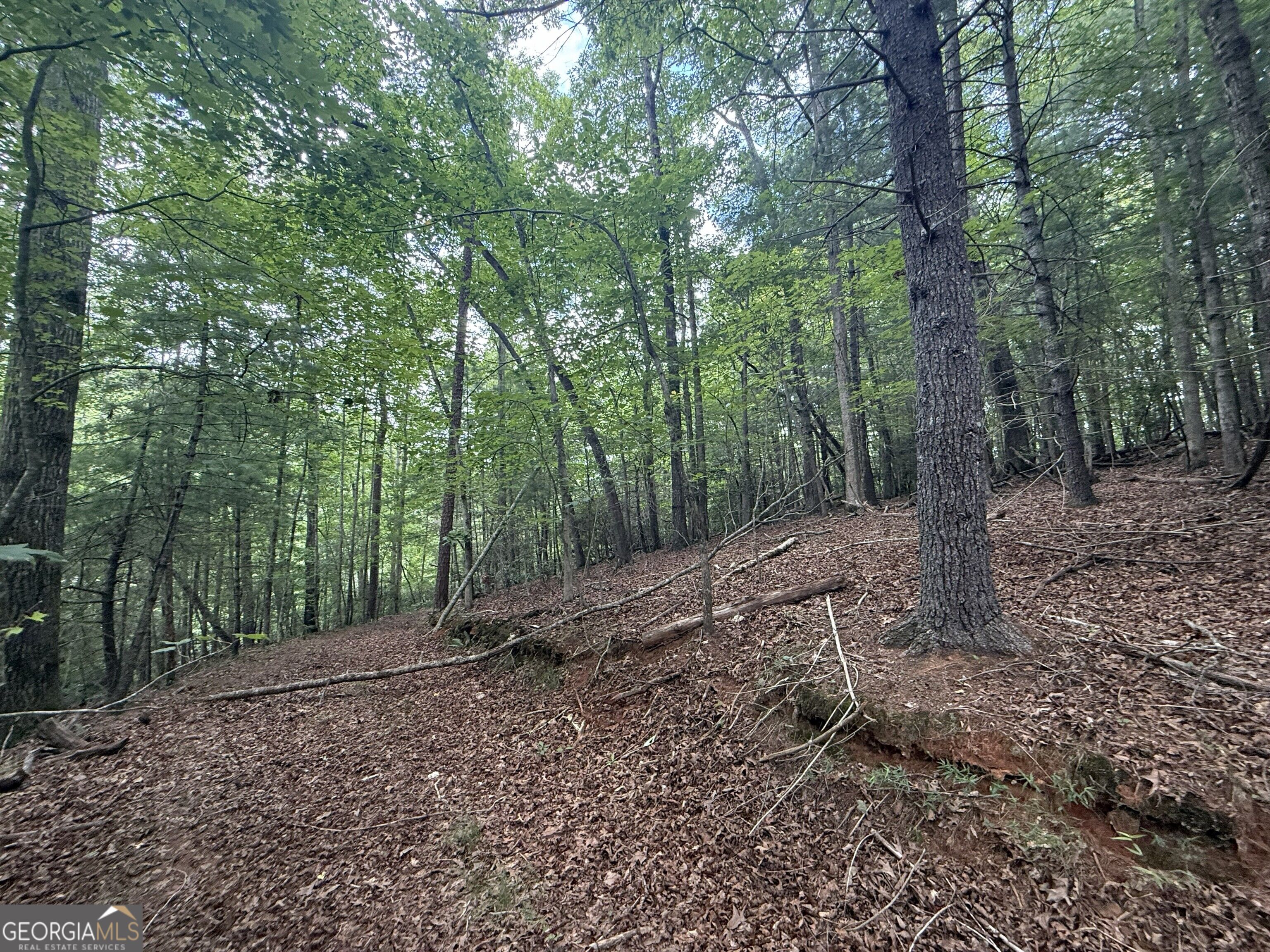 0 Yahoola Indian Trail