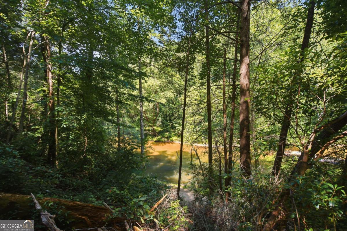 349 Whitewater Trail