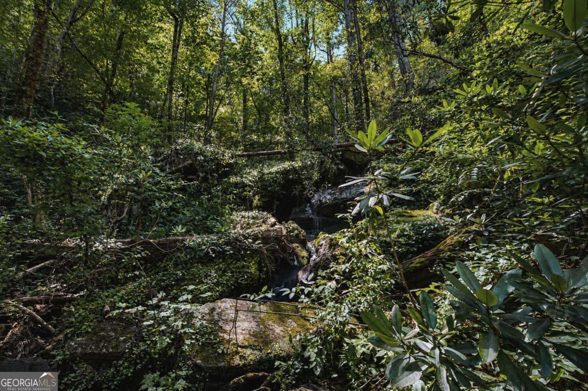 349 Whitewater Trail
