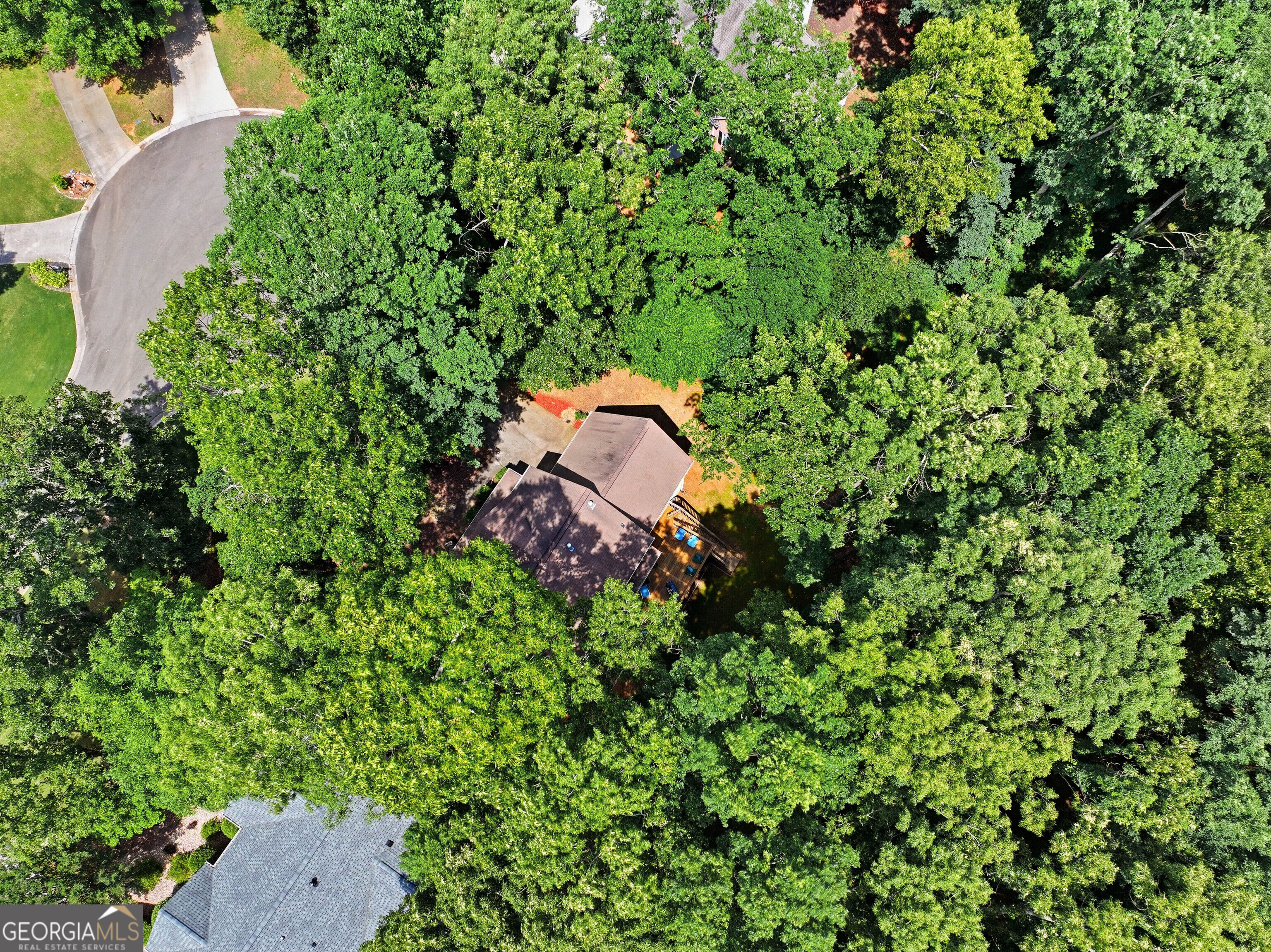 4050 Shelby Lane