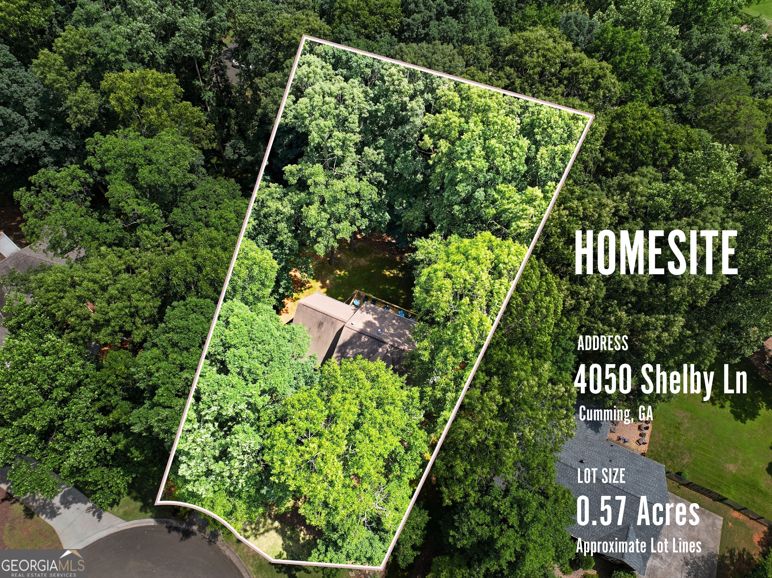 4050 Shelby Lane