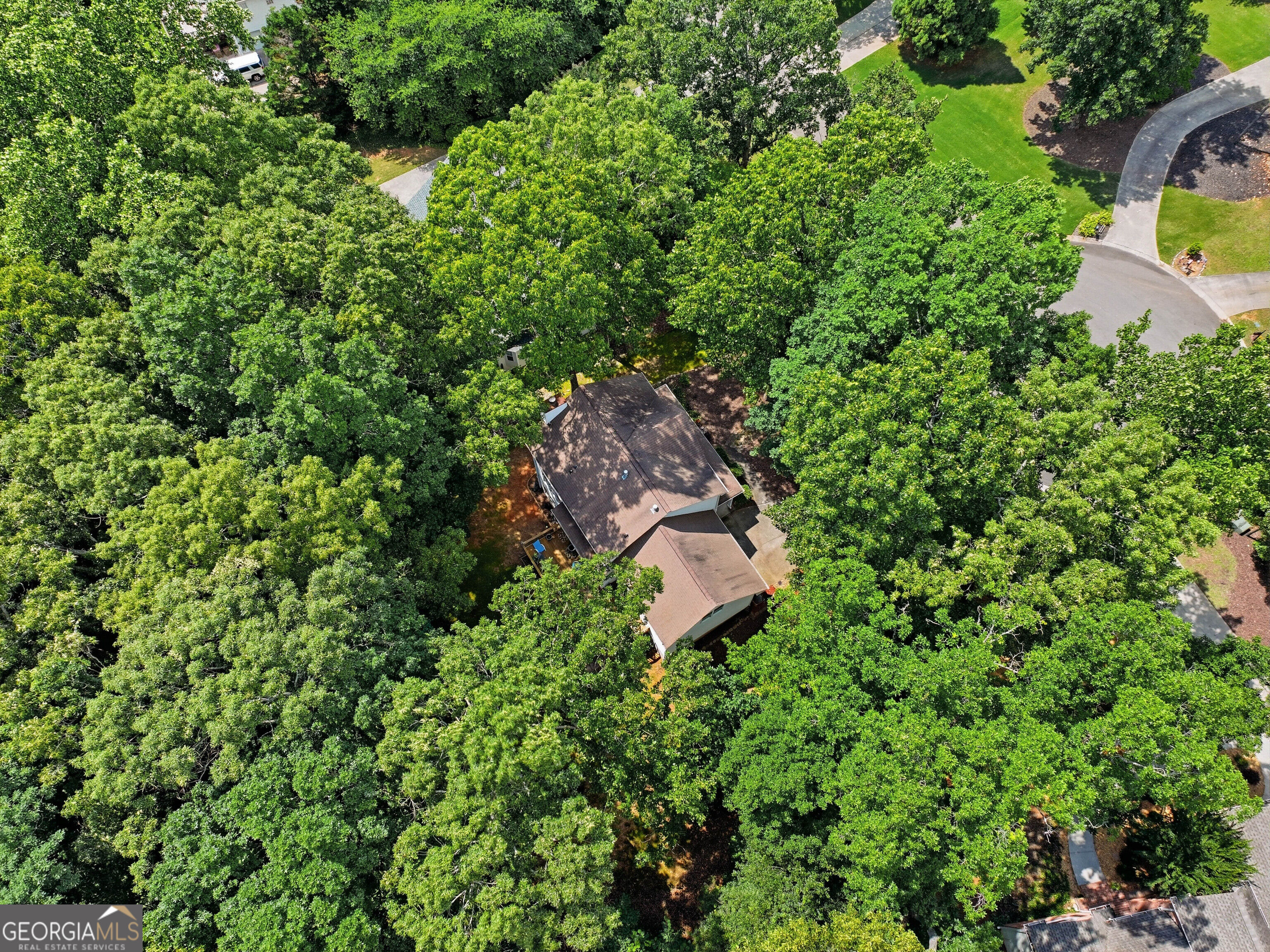 4050 Shelby Lane