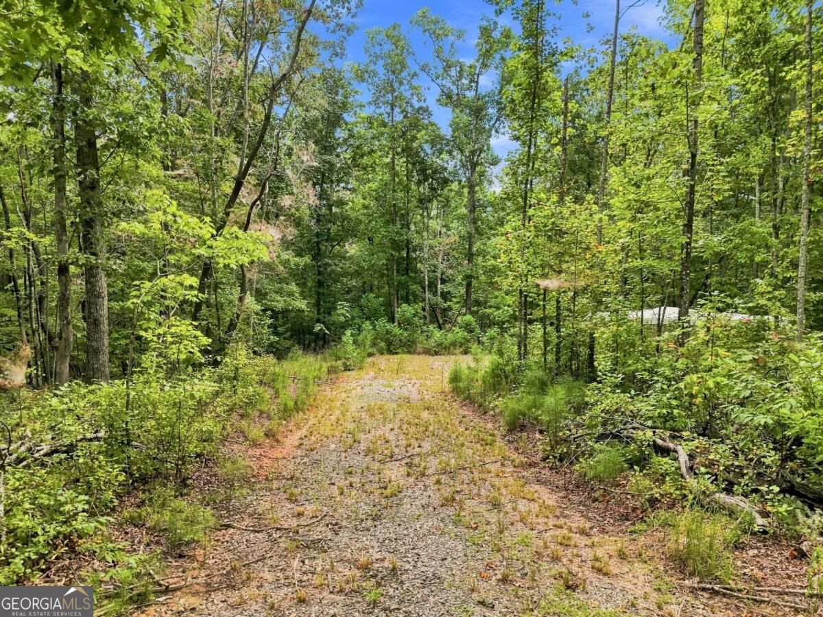 2040 Pleasant Union Road