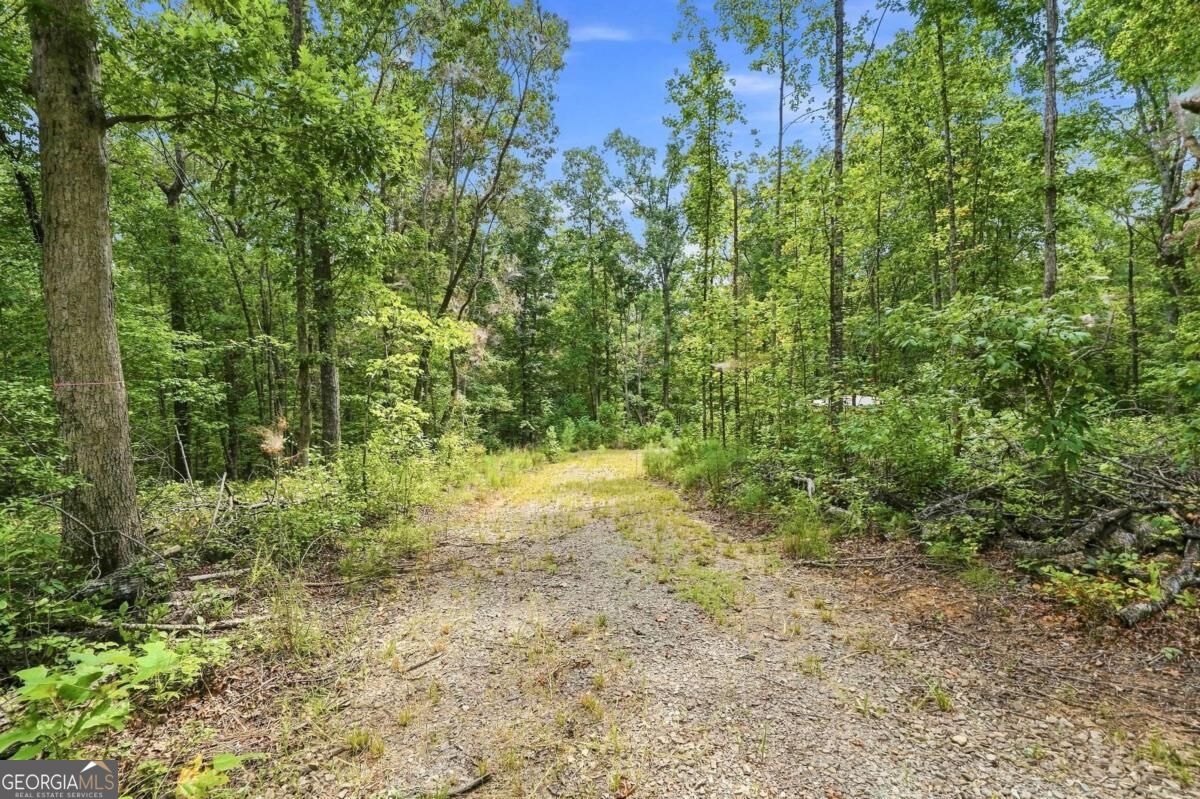 2040 Pleasant Union Road