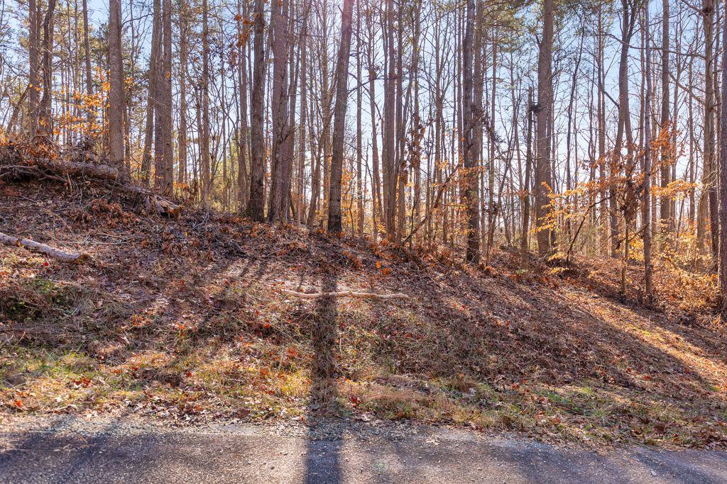 137 Cheyenne Trail