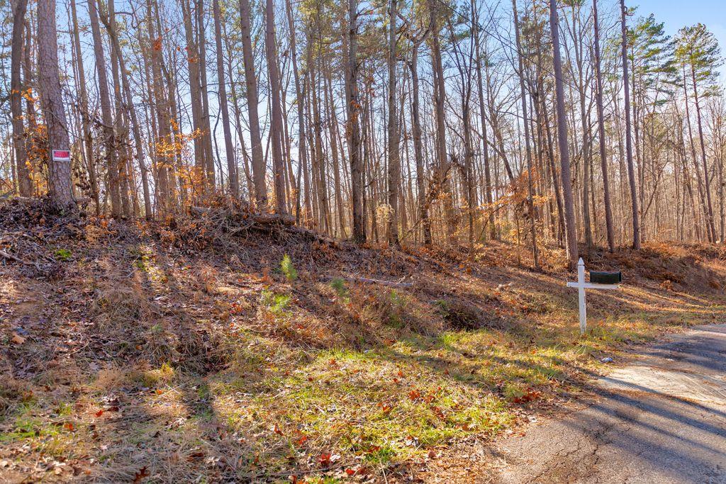 137 Cheyenne Trail