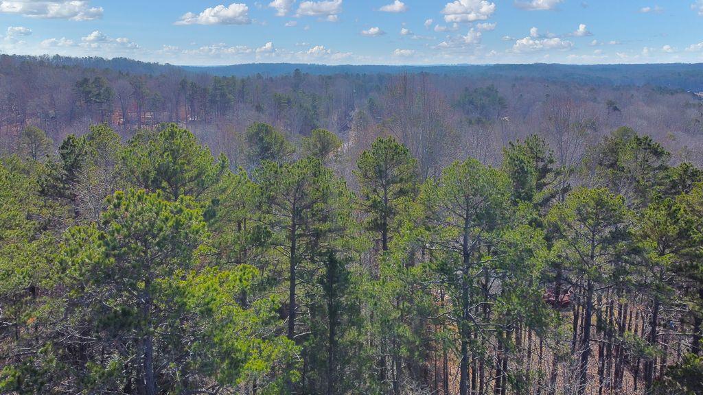 137 Cheyenne Trail