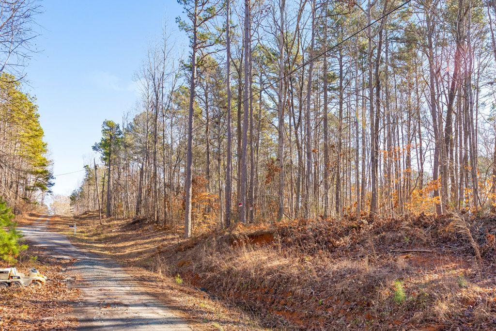 137 Cheyenne Trail