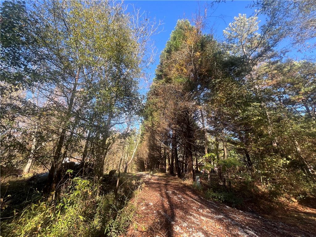 92 Ida Pace Road