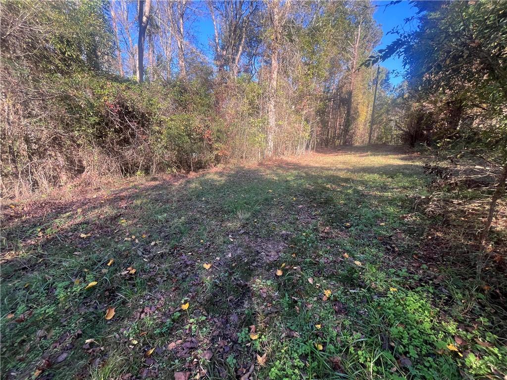 92 Ida Pace Road