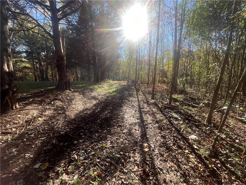92 Ida Pace Road