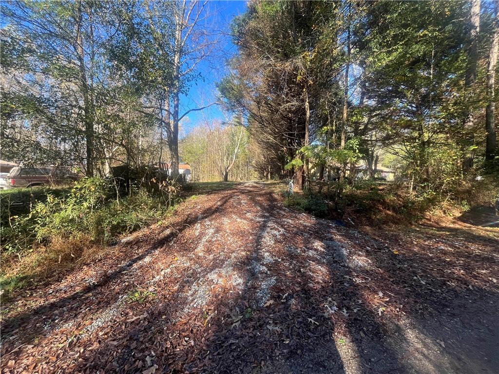 92 Ida Pace Road