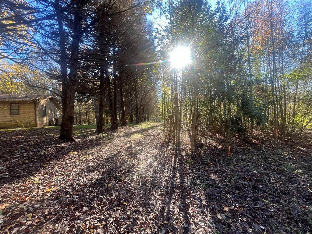 92 Ida Pace Road
