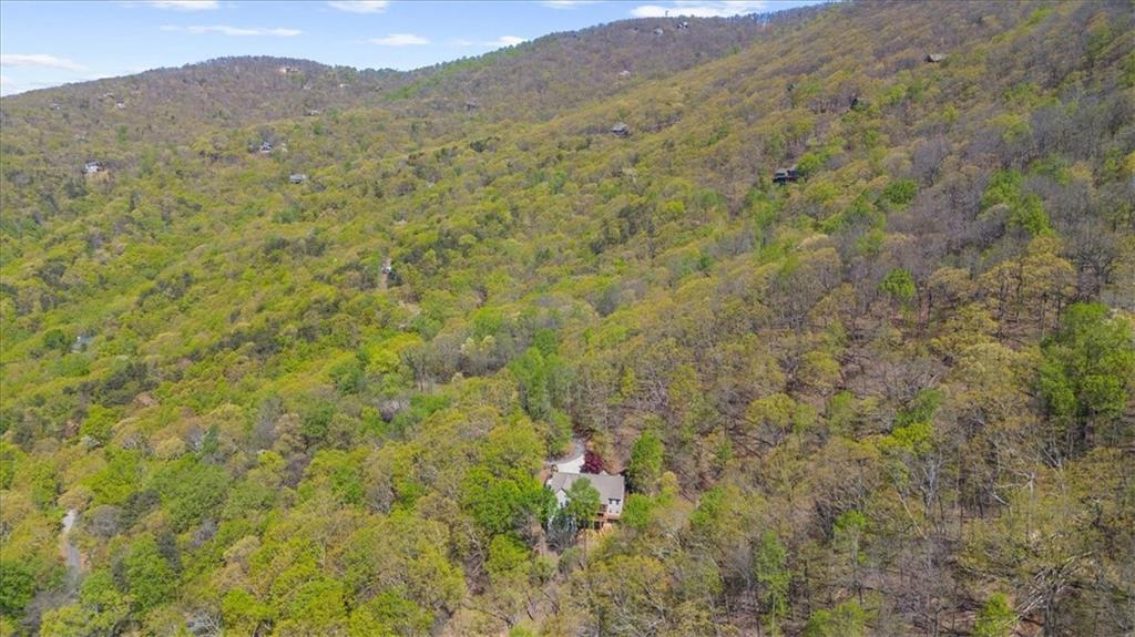 896 Moss Patch Trail