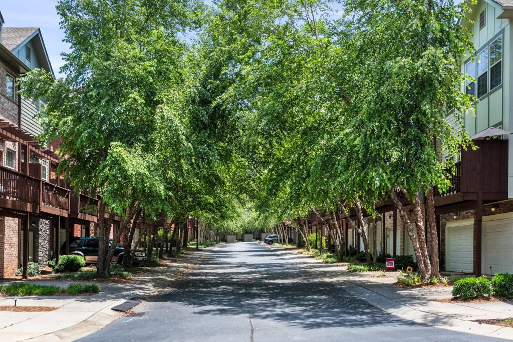 1441 Ashford Creek Circle
