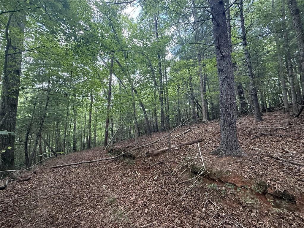 0 Yahoola Indian Trail