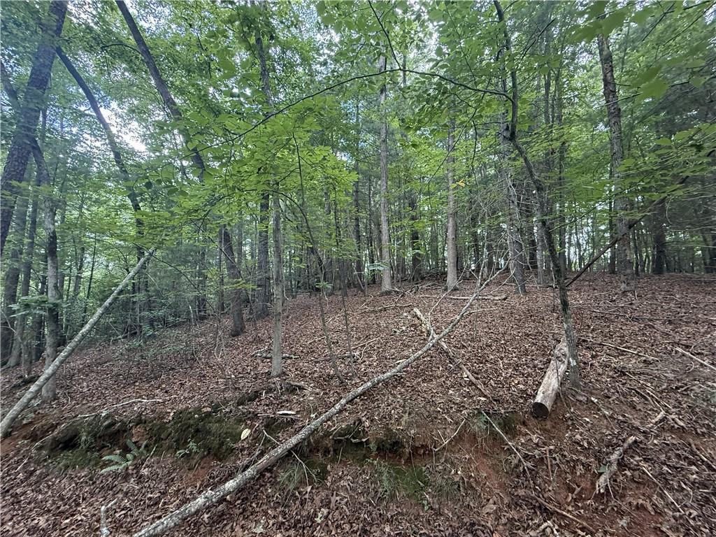 0 Yahoola Indian Trail