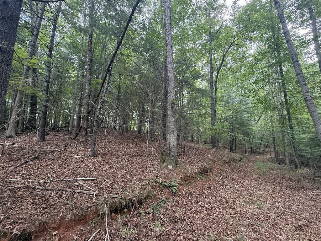 0 Yahoola Indian Trail