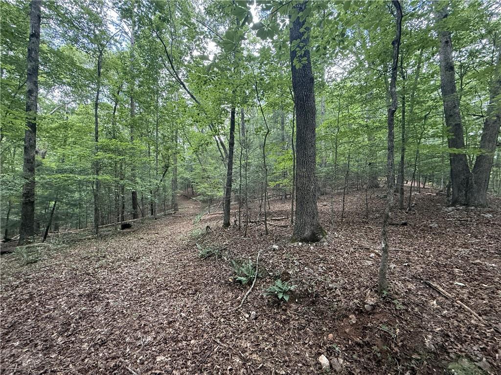 0 Yahoola Indian Trail