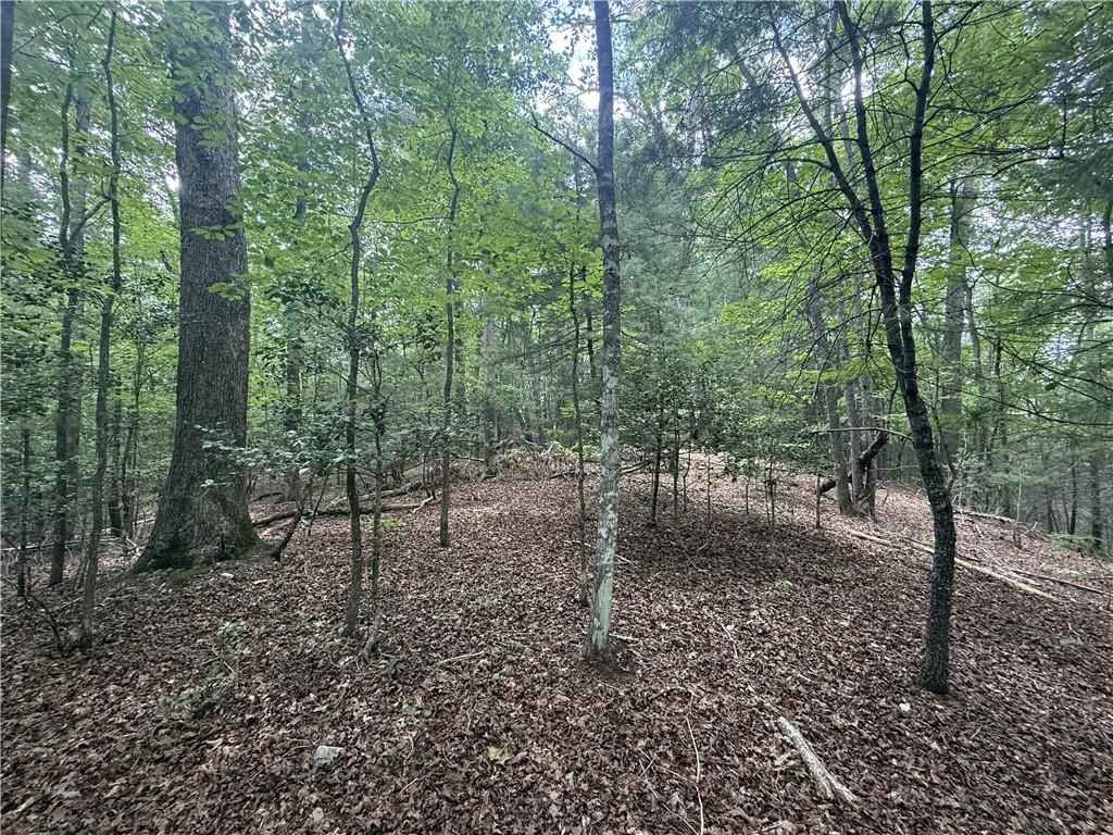 0 Yahoola Indian Trail