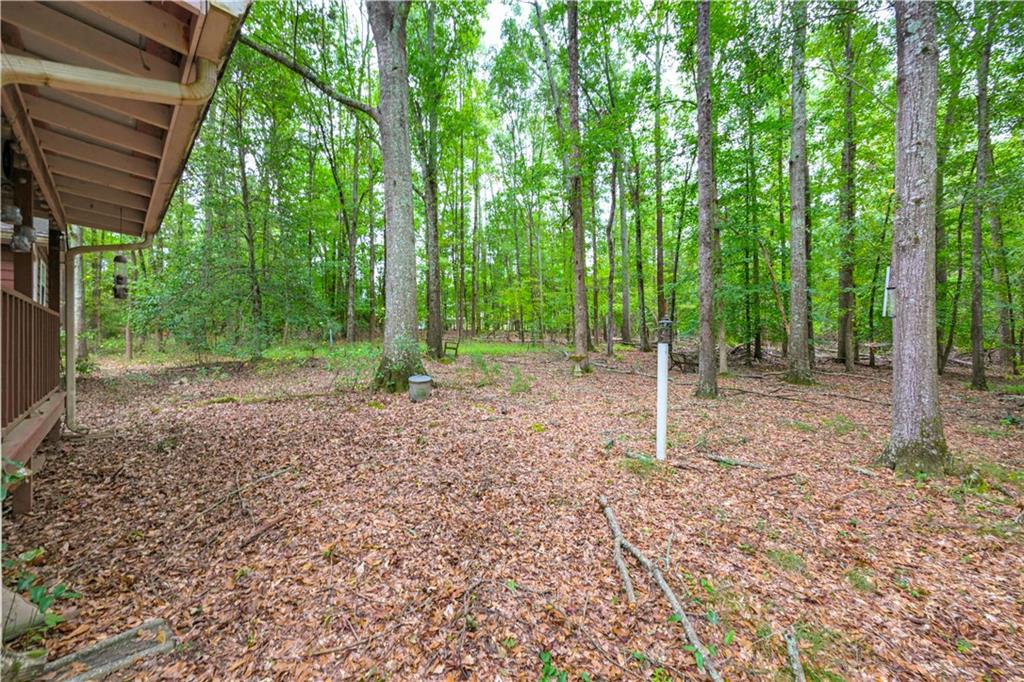81 Woodland Court