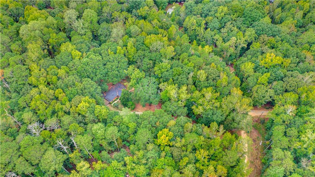 81 Woodland Court
